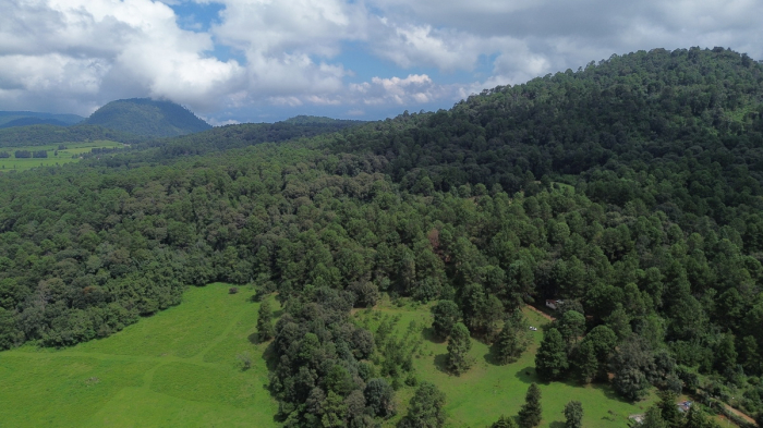 joya en san josé potrerillo