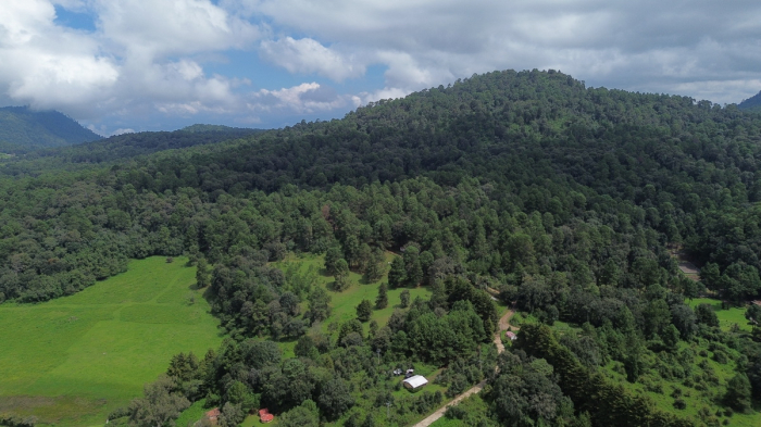 joya en san josé potrerillo