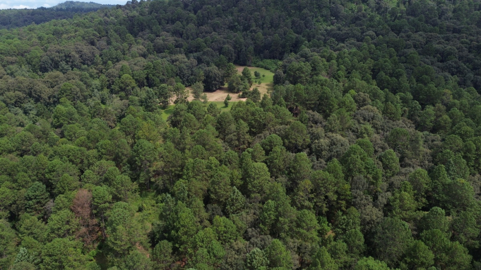 joya en san josé potrerillo