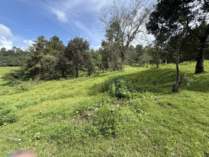 joya en san josé potrerillo