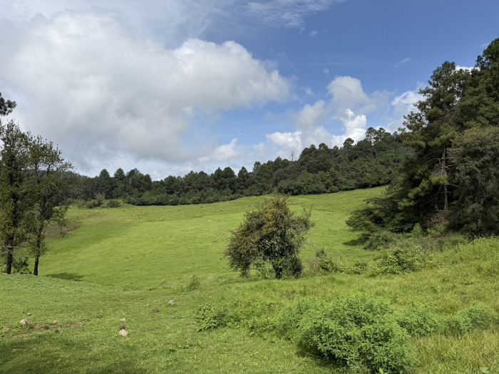joya en san josé potrerillo