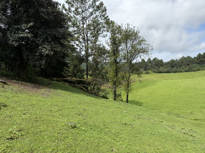 joya en san josé potrerillo