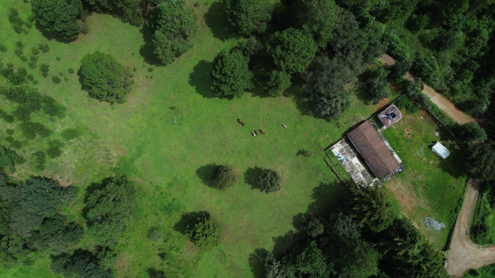 joya en san josé potrerillo