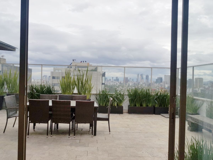 VENTA PH DEPARTAMENTO con ROOF GARDEN en POLANCO