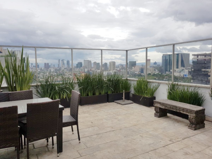 VENTA PH DEPARTAMENTO con ROOF GARDEN en POLANCO