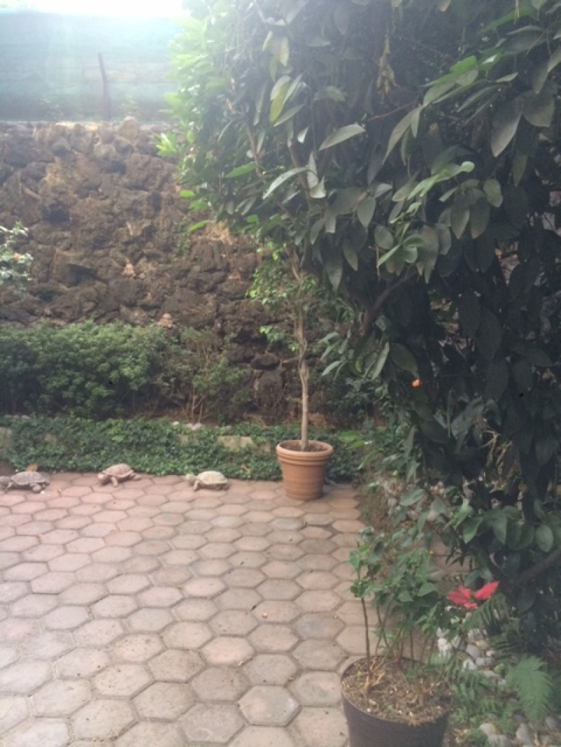 Casa En Venta En Irrigación