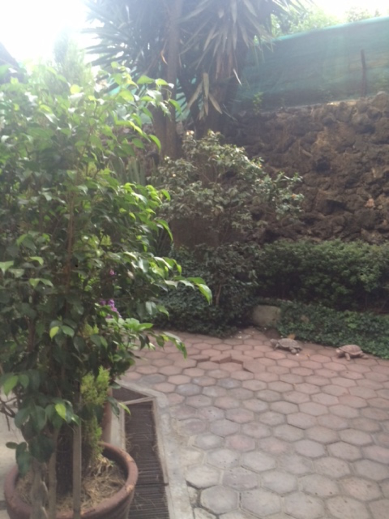 Casa En Venta En Irrigación