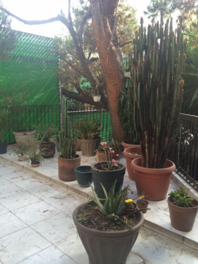 Casa En Venta En Irrigación