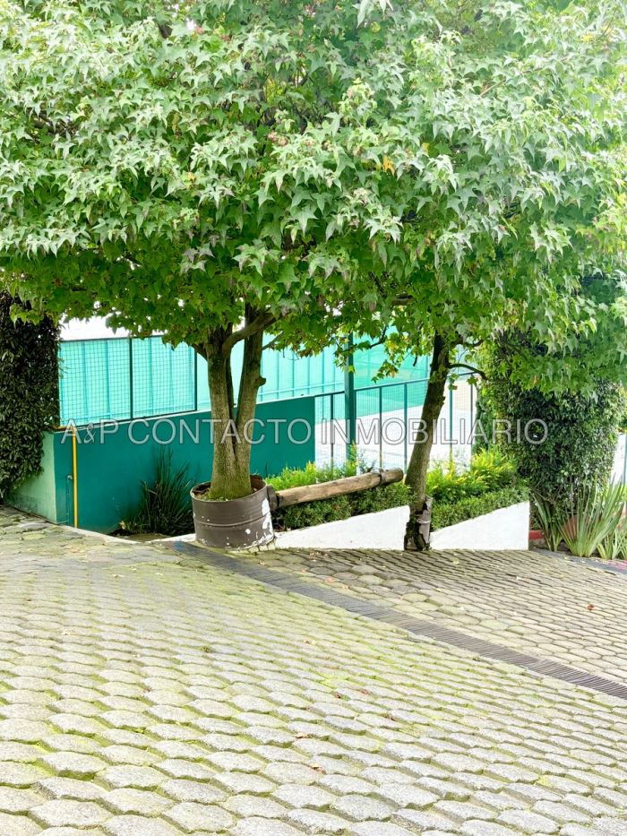 Venta De Amplio Departamento Cuajimalpa 206 M2