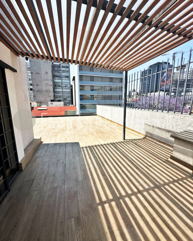 RENTA DEPARTAMENTO POLANCO, II SECCI�?N, PLAT�?N