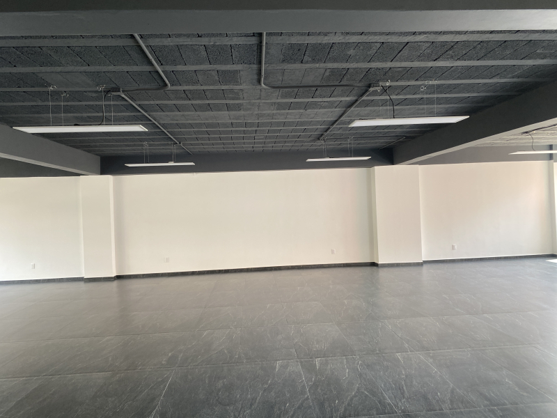 Oficina En Renta En Polanco Nueva 247 M2