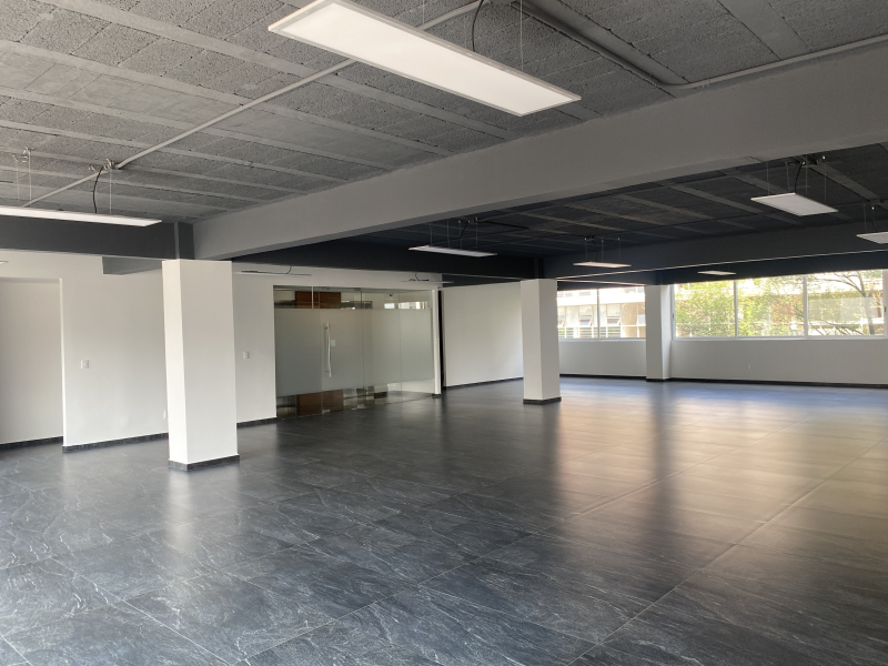 Oficina en Renta en Polanco nueva 247 m2