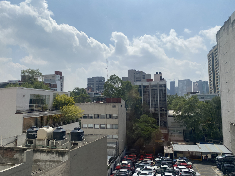 Oficina En Renta En Polanco Nueva 247 M2