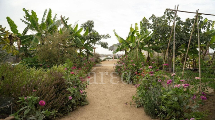 Casa en Todos santos, Baja California Sur en Venta