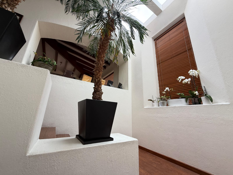 Casa En  Venta Bosque De  Las  Lomas
