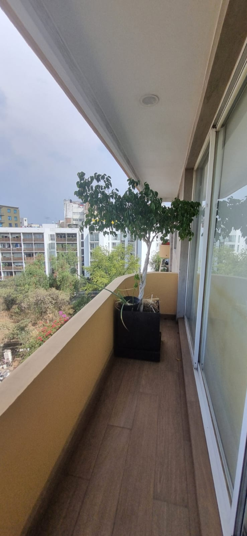 departamento en renta en insurgentes cuicuilco