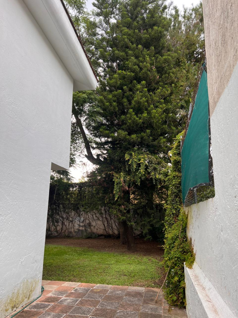 Casa Con Gran Jardín Y Espacios Amplios,  Ideal Para Oficina O Notaría En Los Pinos, Zapopan. 