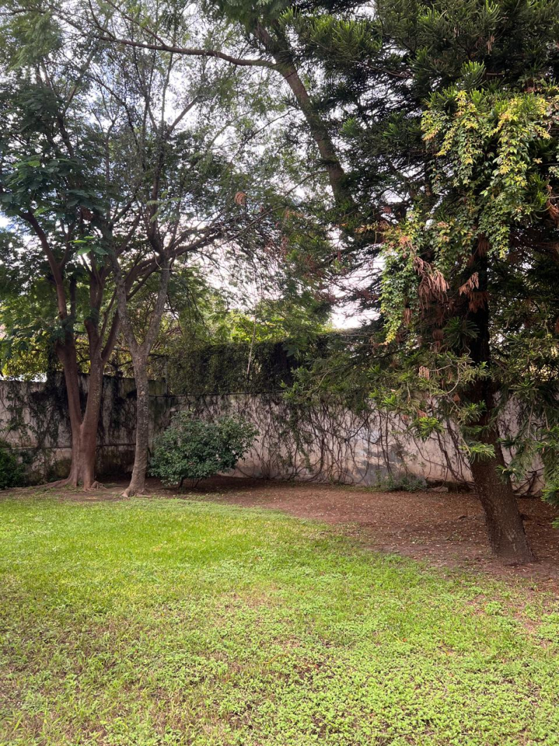 Casa Con Gran Jardín Y Espacios Amplios,  Ideal Para Oficina O Notaría En Los Pinos, Zapopan. 