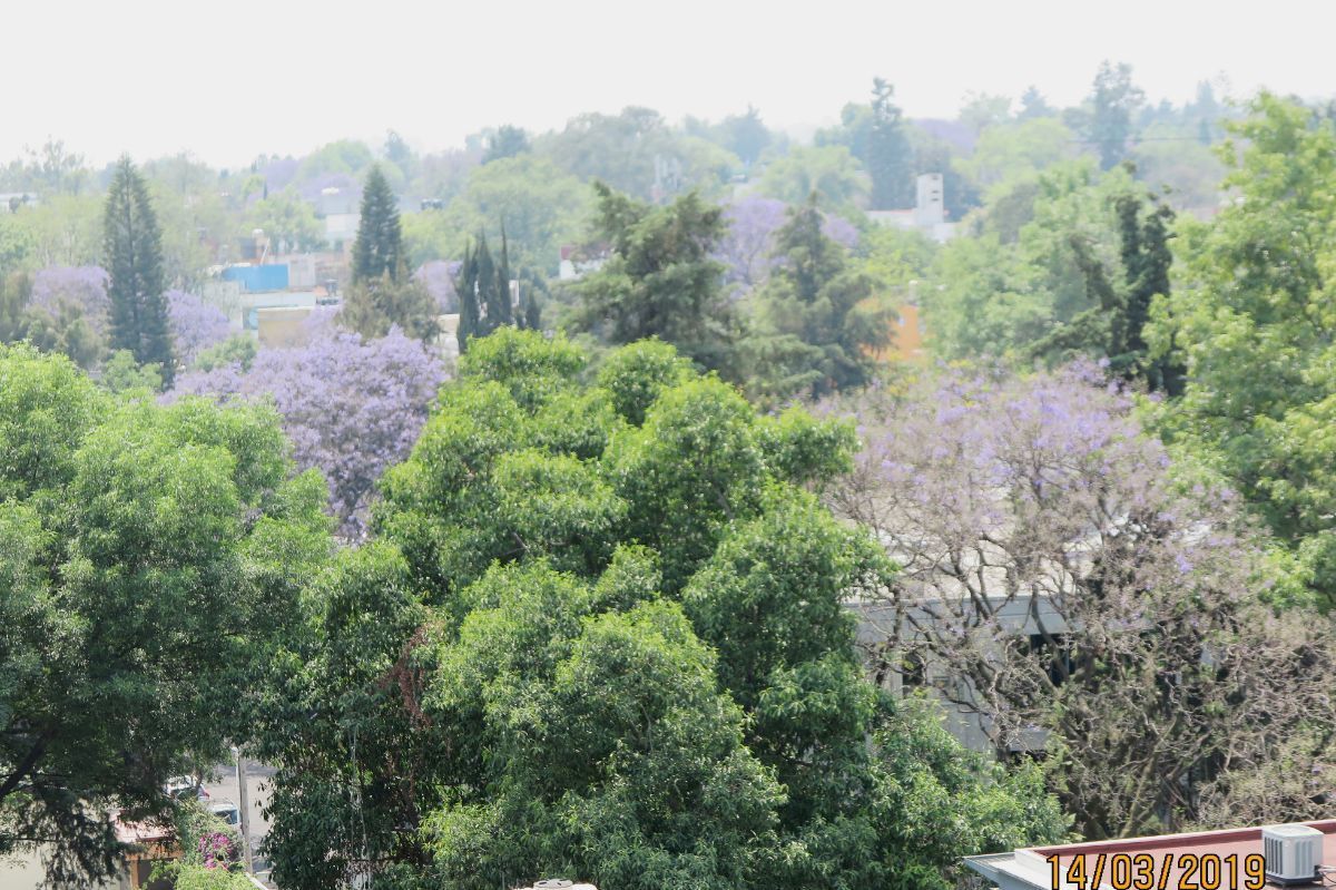 departamento en venta en lomas de chapultepec, andes. penthouse venta $26,000,000mn