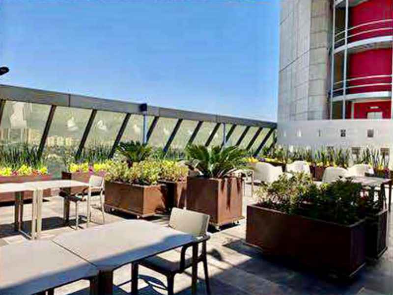 oficinas premium en renta en paseo de la reforma, lomas altas