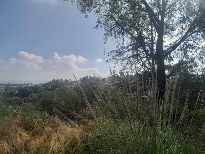 terreno plurifamiliar sobre super avenida lomas verdes naucalpan 
