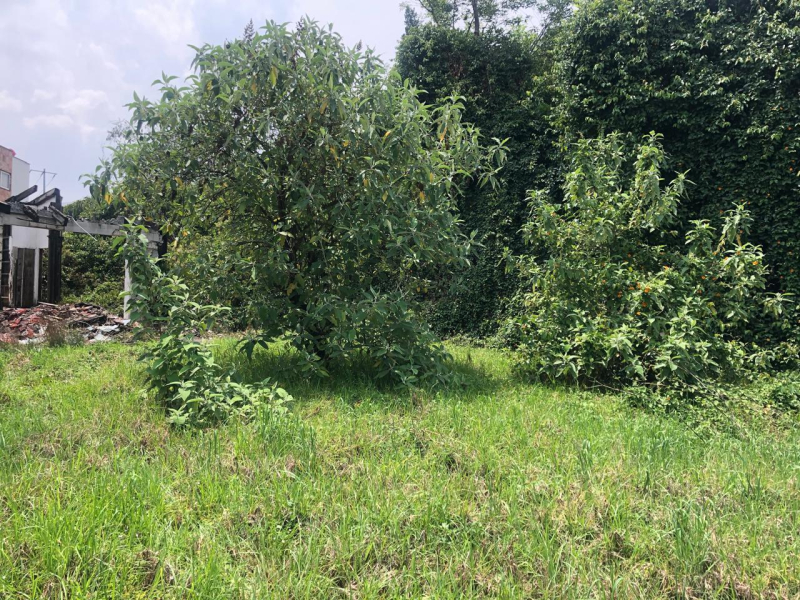 VENTA TERRENO LOMAS ALTAS