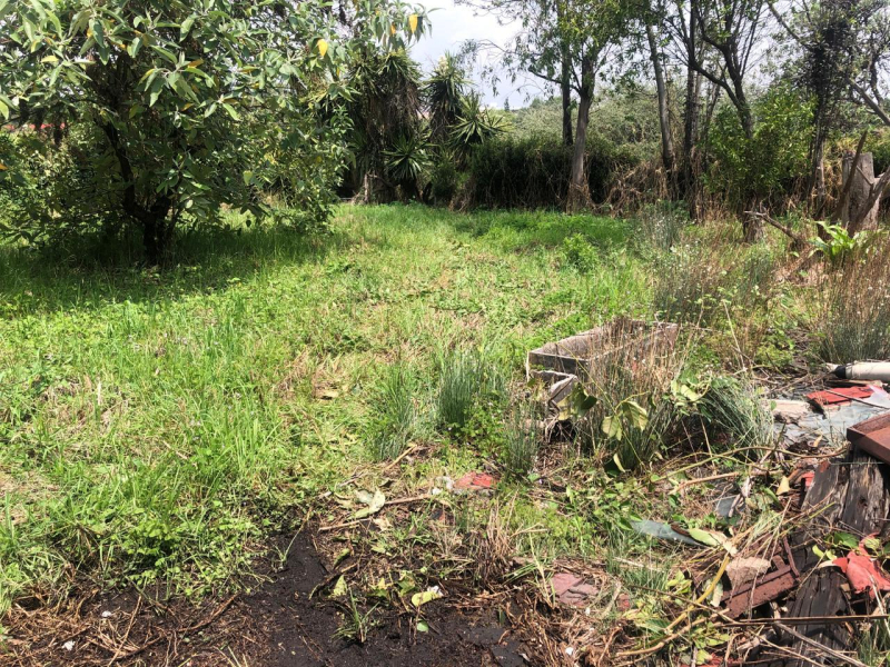 VENTA TERRENO LOMAS ALTAS