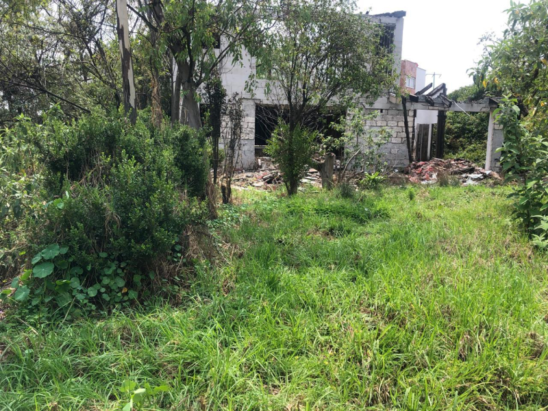 VENTA TERRENO LOMAS ALTAS