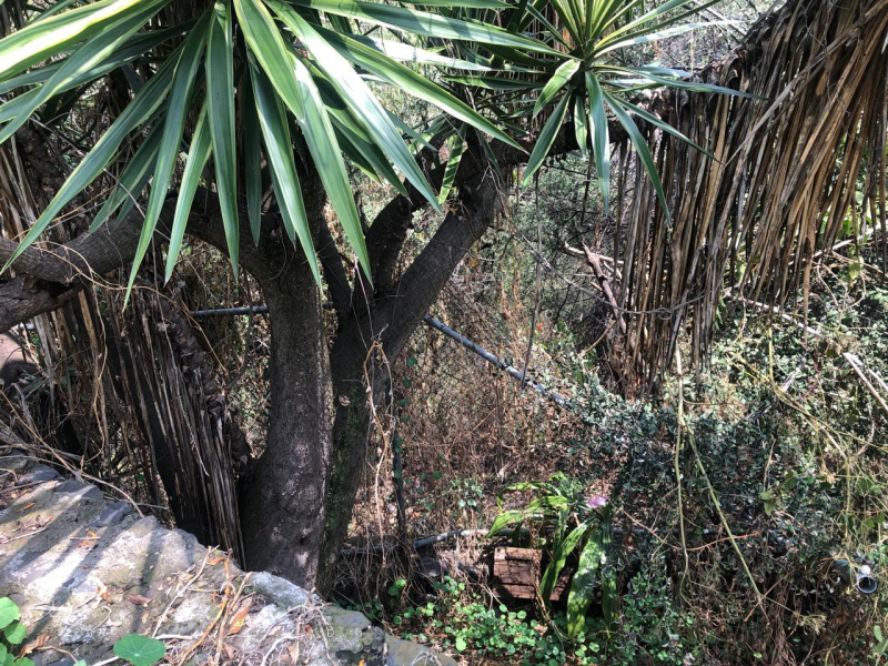 VENTA TERRENO LOMAS ALTAS