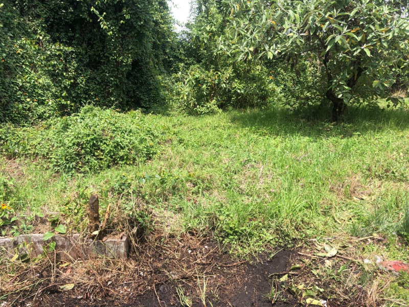 VENTA TERRENO LOMAS ALTAS