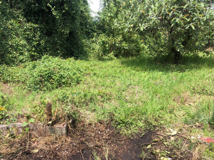 venta terreno lomas altas