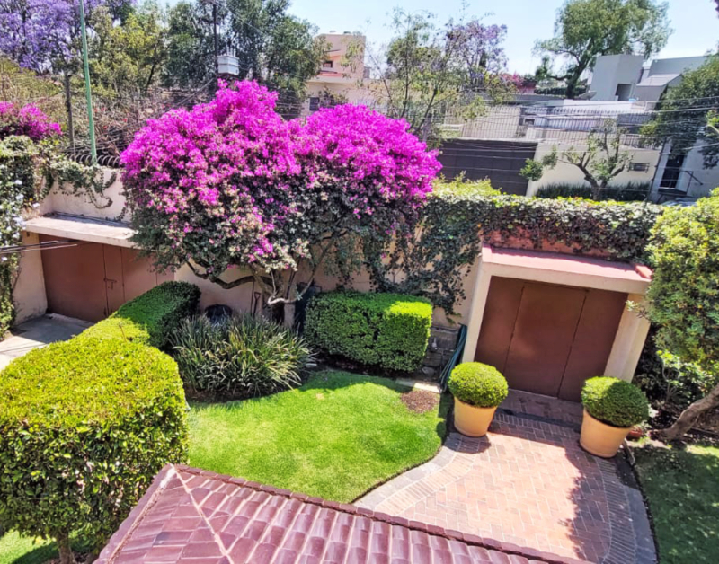 Casa En Renta En Lomas De Chapultepec Con 985m2 De Terreno