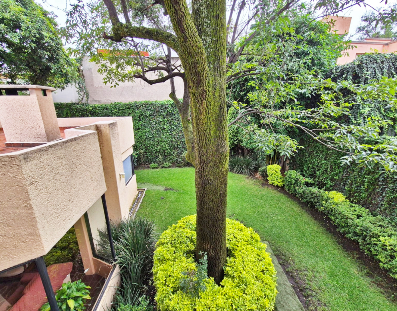 Casa En Renta En Lomas De Chapultepec Con 985m2 De Terreno