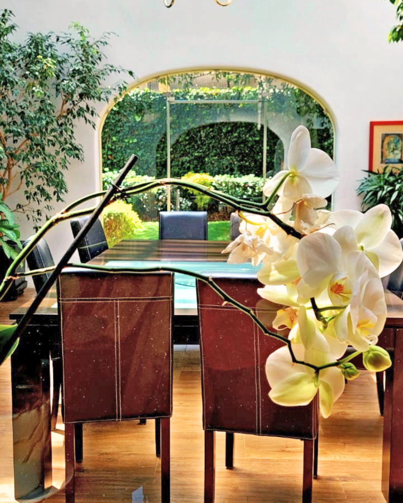 Casa En Renta En Lomas De Chapultepec Con 985m2 De Terreno