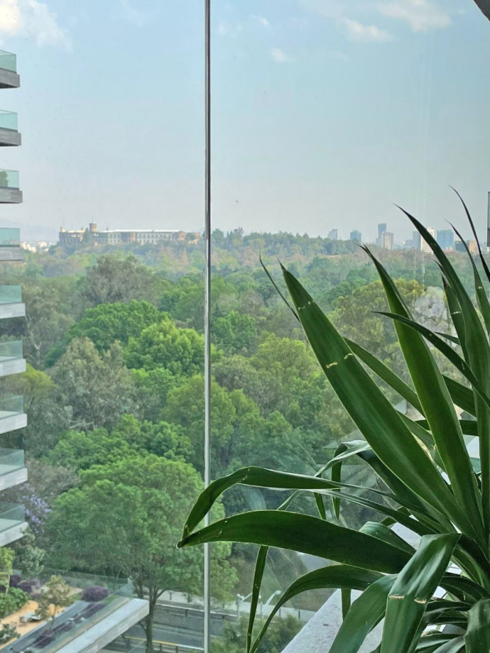 Departamento De Lujo De Polanco En Venta Seccion V Lord Byron