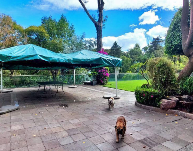Casa En Venta En Lomas Altas