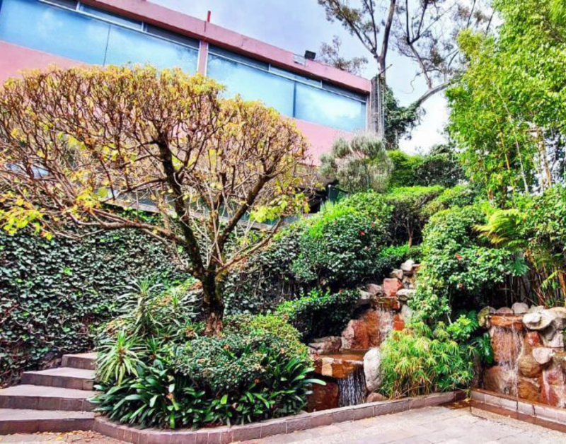 Casa En Venta En Lomas Altas