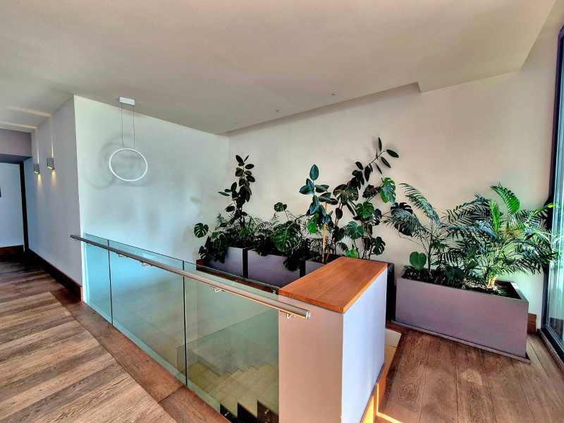 Departamento En Venta En Anzures