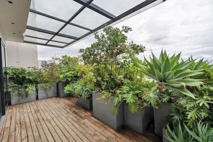 Departamento En Venta En Anzures