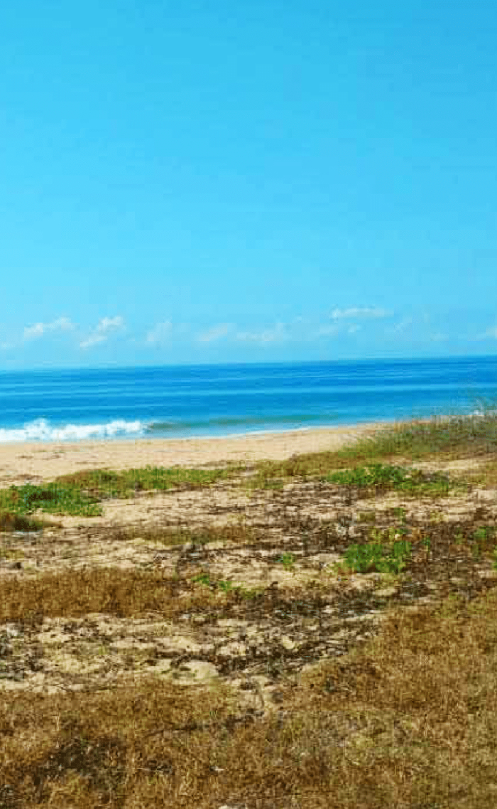 Terreno En Venta Proyecto Navigo En Acapulco Diamante