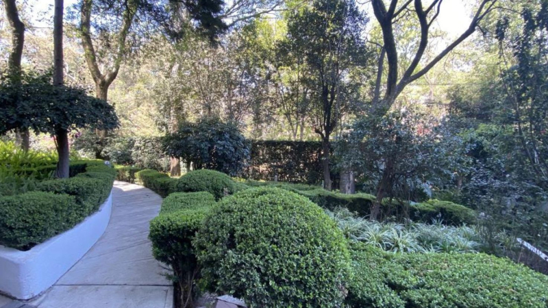 Departamento en Venta en Lomas de Chapultepec