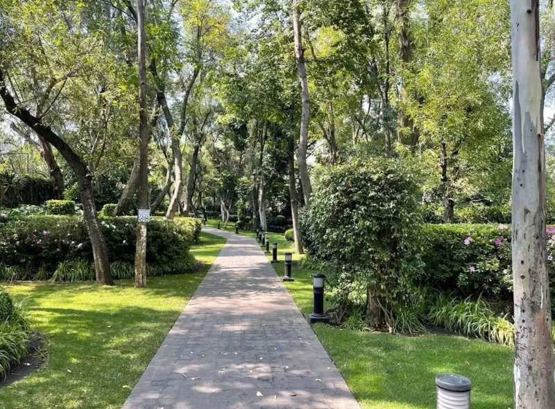 Departamento en Venta en Lomas de Chapultepec