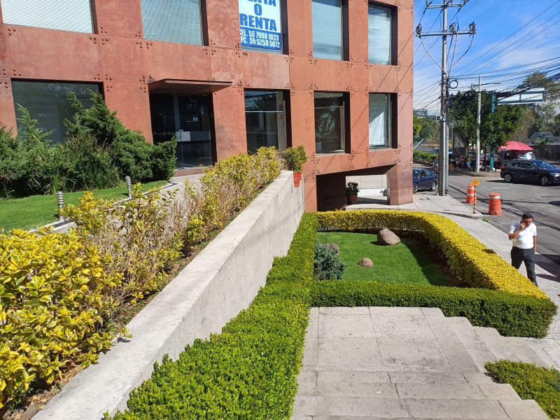 Oficina en Renta en Paseo de las Lomas