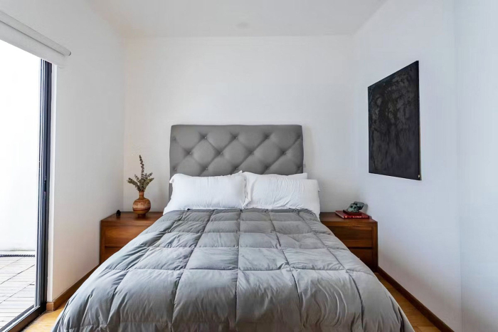 RENTA DEPARTAMENTO, CON O SIN MUEBLES, BENJAMÍN HILL, HIP�?DROMO CONDESA
