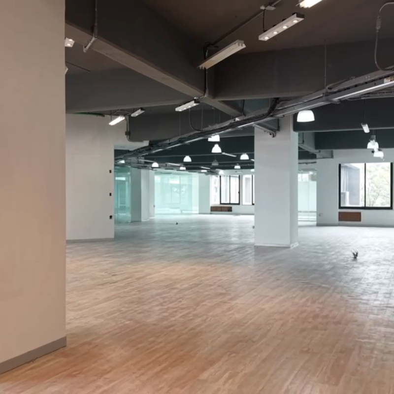 Renta De Espacio De Oficinas En Edificio Corporativo - Polanco