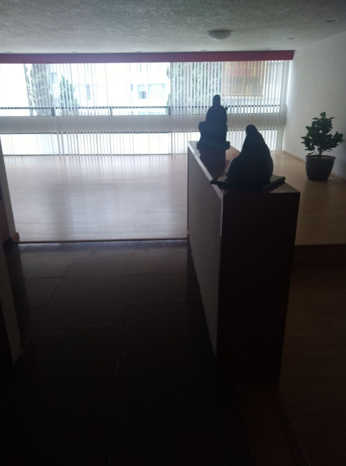 lomas de chapultepec, cofre de perote, departamento con terraza. venta y renta