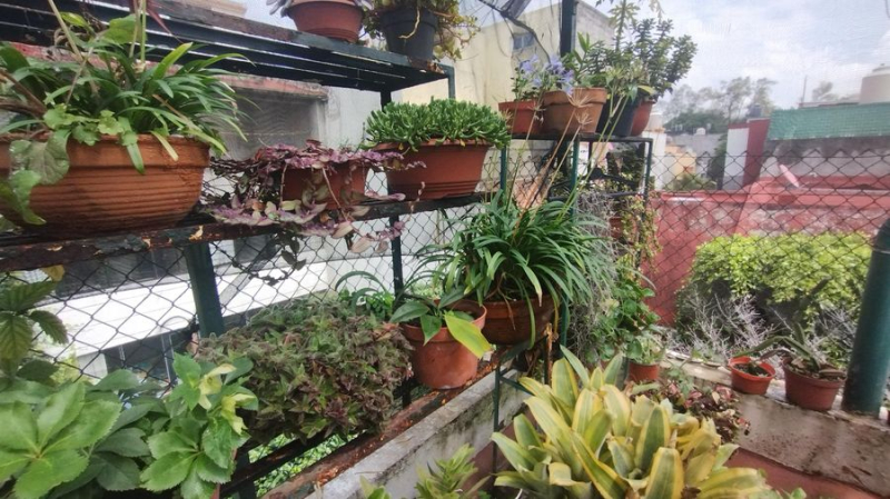 Casa En Venta Y Terreno En Jardines De Coyoacan