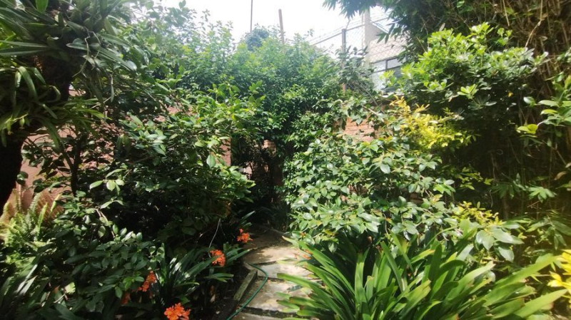 Casa En Venta Y Terreno En Jardines De Coyoacan