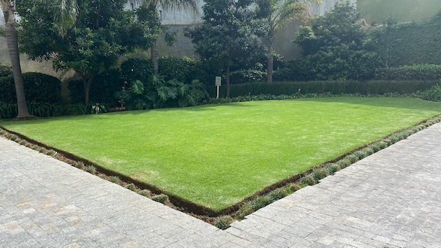 Departamento En Renta En Infiniti En Santa Fe. Renta $32,000MN