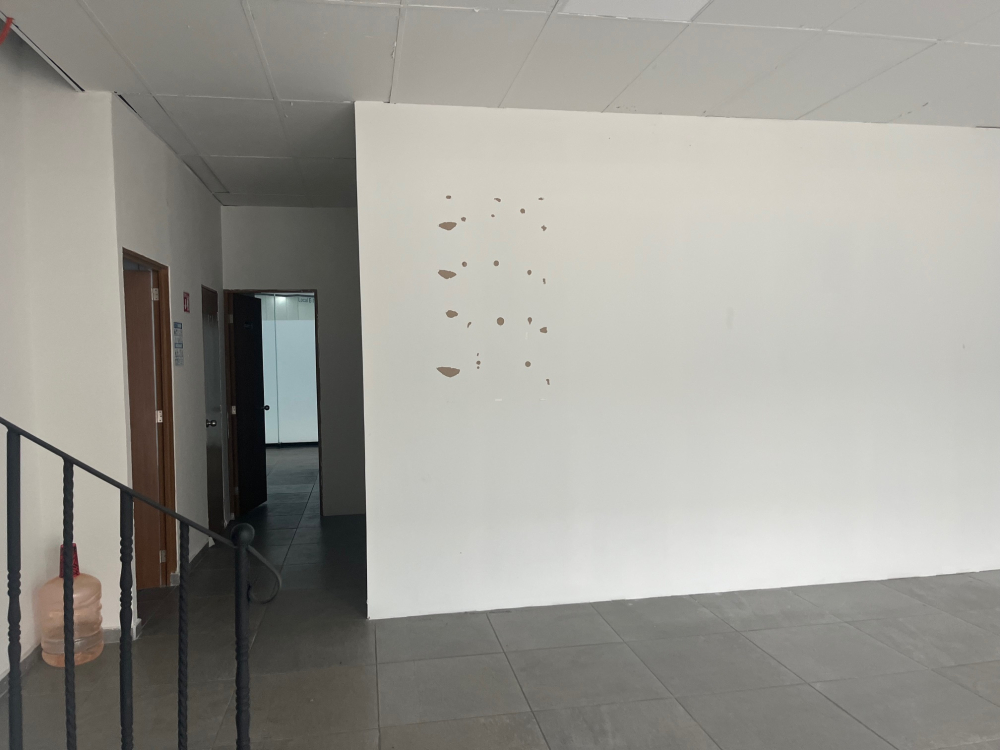 Oficina En Renta En Vallarta Poniente